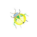 Image Not Available